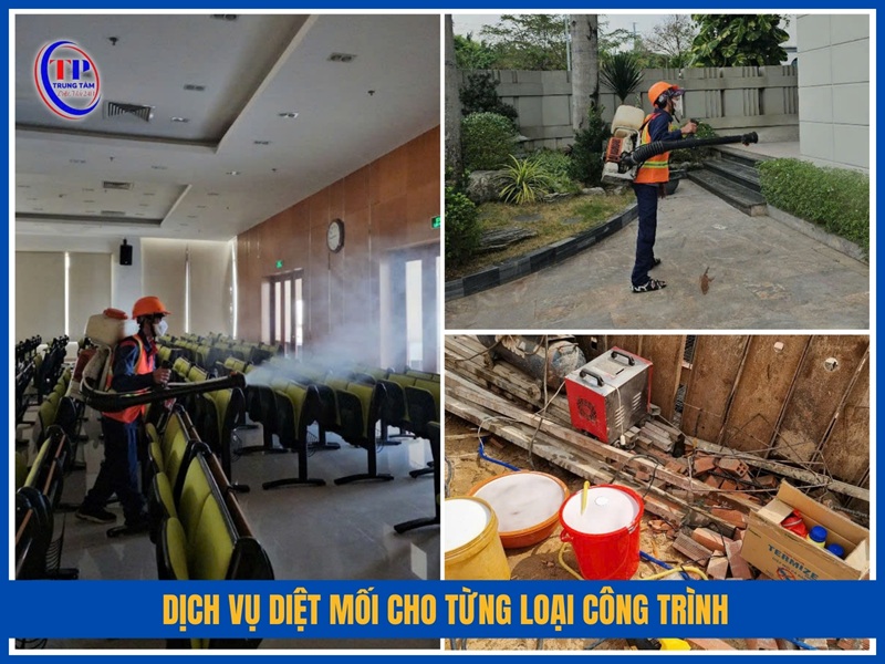 Dịch vụ diệt mối cho từng loại công trình