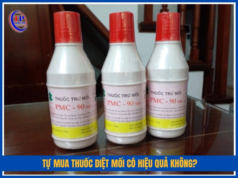 Tự mua thuốc diệt mối có hiệu quả không?