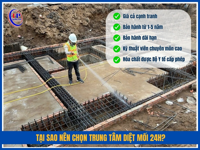 Tại sao nên chọn Trung Tâm Diệt Mối 24H?