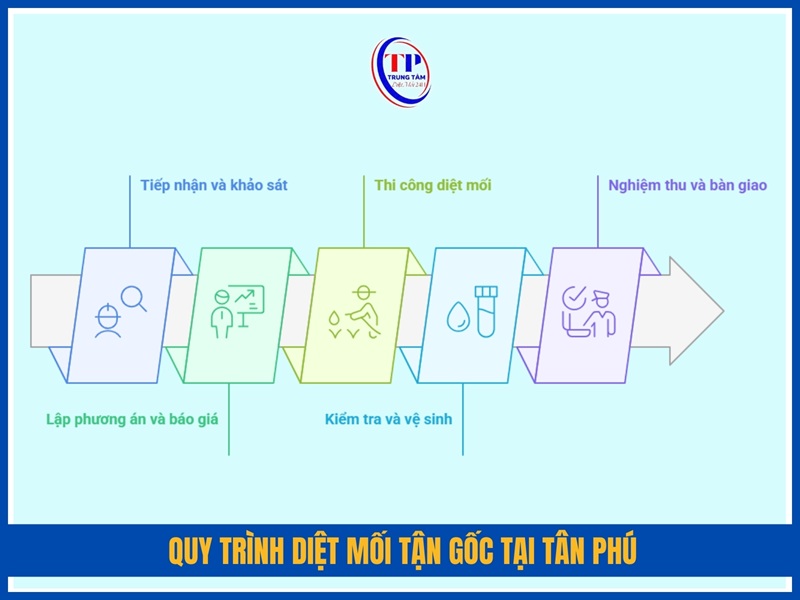 Quy trình diệt mối tận gốc tại Tân Phú