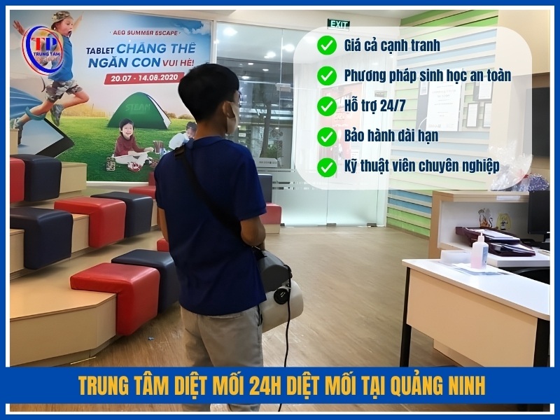 Trung Tâm Diệt Mối 24H diệt mối tại Quảng Ninh