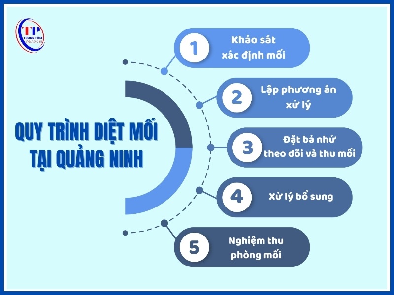 Quy trình diệt mối tại Quảng Ninh chuẩn kỹ thuật