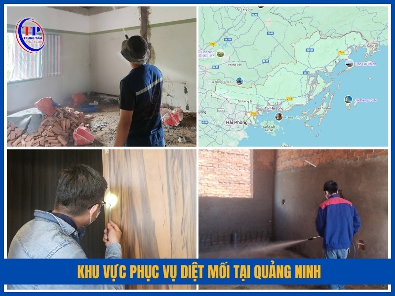 Khu vực phục vụ diệt mối tại Quảng Ninh