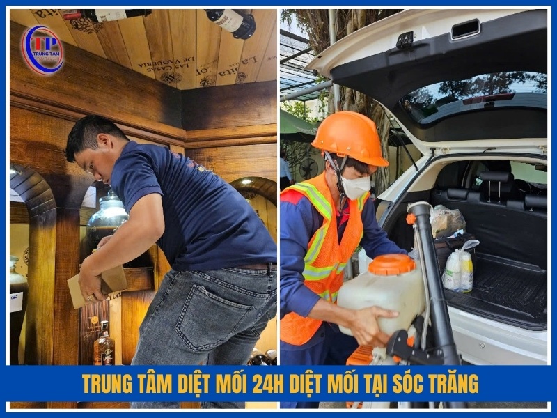 Trung Tâm Diệt Mối 24H diệt mối tại Sóc Trăng