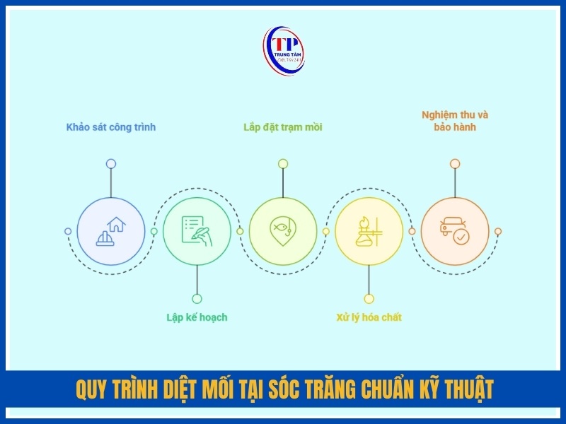 Quy trình diệt mối tại Sóc Trăng chuẩn kỹ thuật