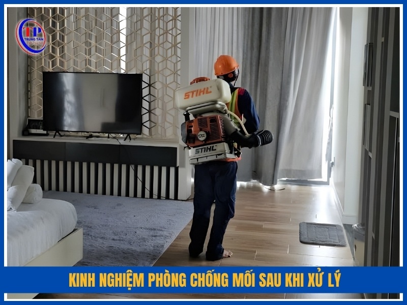 Kinh nghiệm phòng chống mối sau khi xử lý