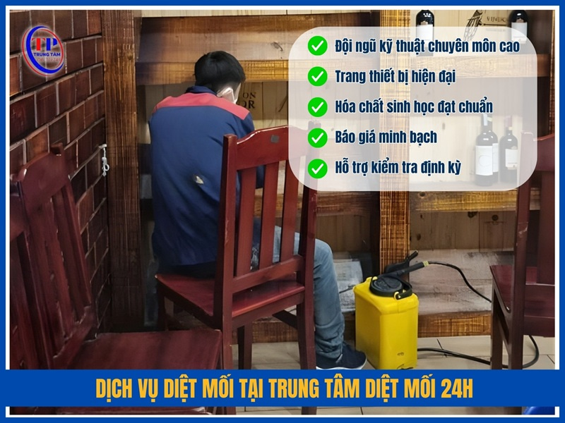 Dịch vụ diệt mối tại Trung Tâm Diệt Mối 24H