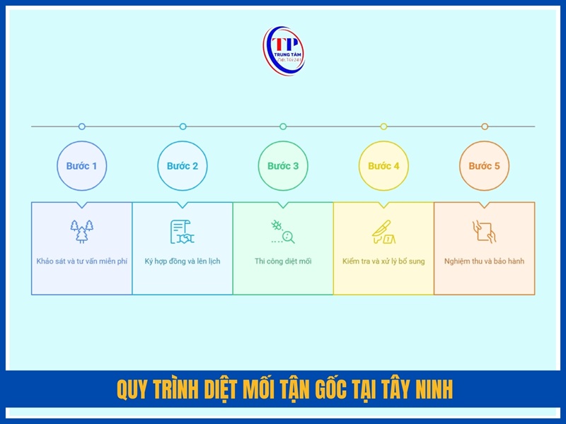 Quy trình diệt mối tận gốc tại Tây Ninh