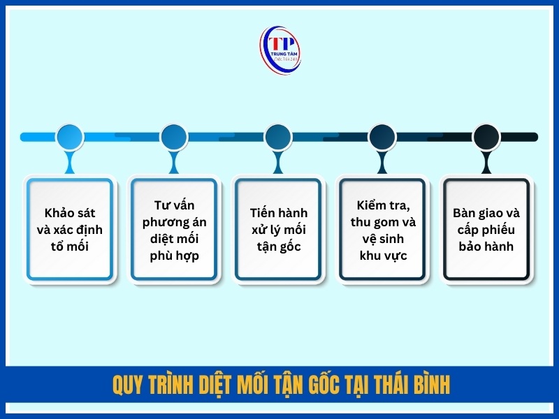 Quy trình diệt mối tận gốc tại Thái Bình