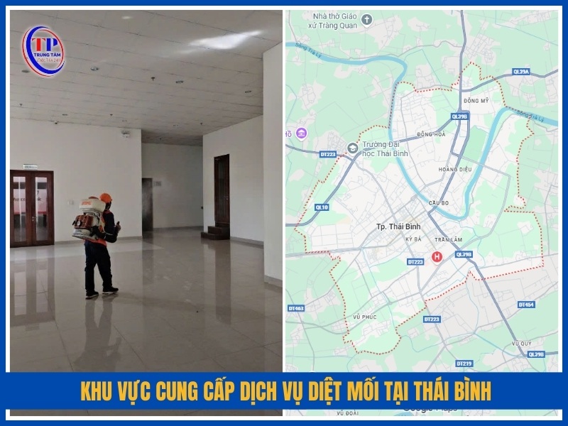 Khu vực cung cấp dịch vụ diệt mối tại Thái Bình