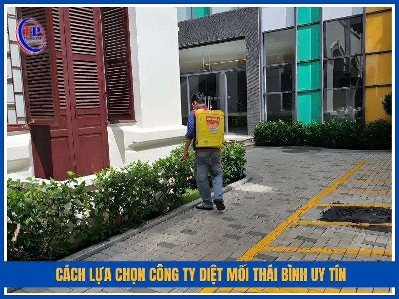 Cách lựa chọn công ty diệt mối Thái Bình uy tín