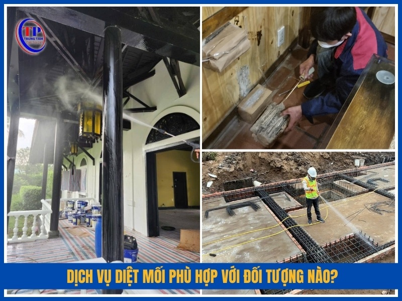 Dịch vụ diệt mối phù hợp với đối tượng nào?