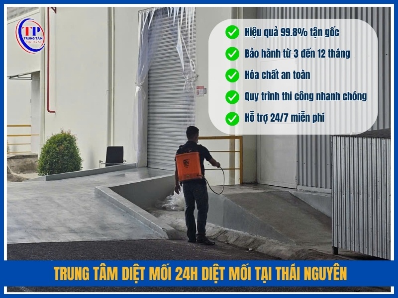 Trung Tâm Diệt Mối 24H diệt mối tại Thái Nguyên