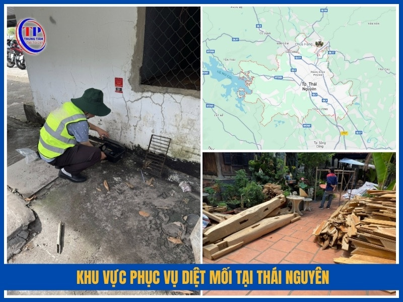 Khu vực phục vụ diệt mối tại Thái Nguyên