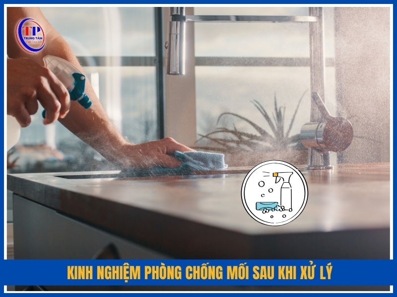 Kinh nghiệm phòng chống mối sau khi xử lý