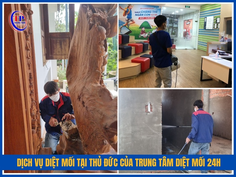 Dich vu diet moi tai Thu Duc cua Trung Tam Diet Moi 24H