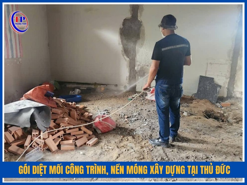 Gói diệt mối công trình, nền móng xây dựng tại Thủ Đức