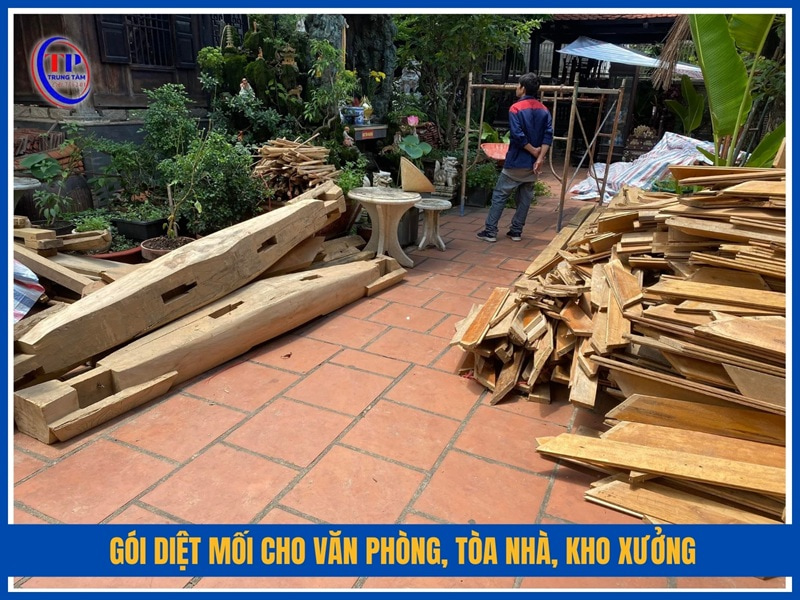 Gói diệt mối cho văn phòng, tòa nhà, kho xưởng