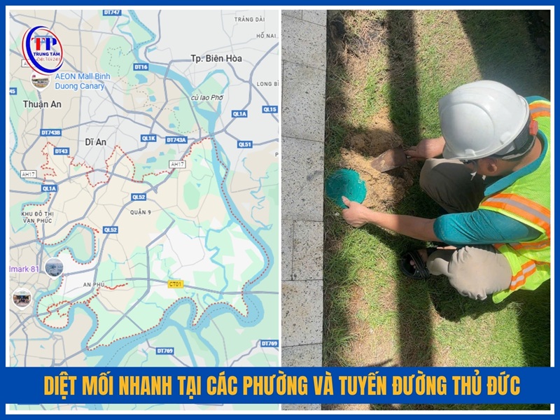 Diệt mối nhanh tại các phường và tuyến đường trọng điểm Thủ Đức