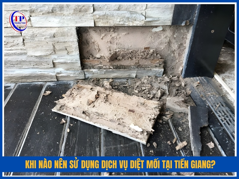 Khi nao nen su dung dich vu diet moi tai Tien Giang