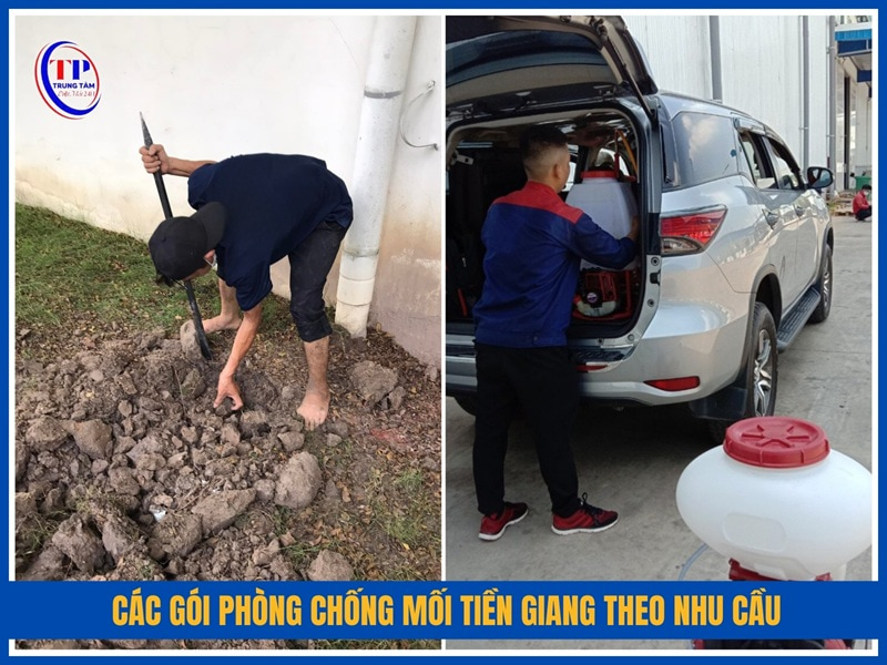 Các gói phòng chống mối Tiền Giang theo nhu cầu