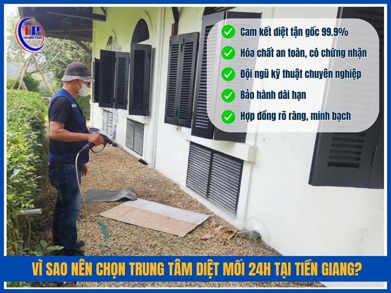 Vì sao nên chọn Trung Tâm Diệt Mối 24H tại Tiền Giang?