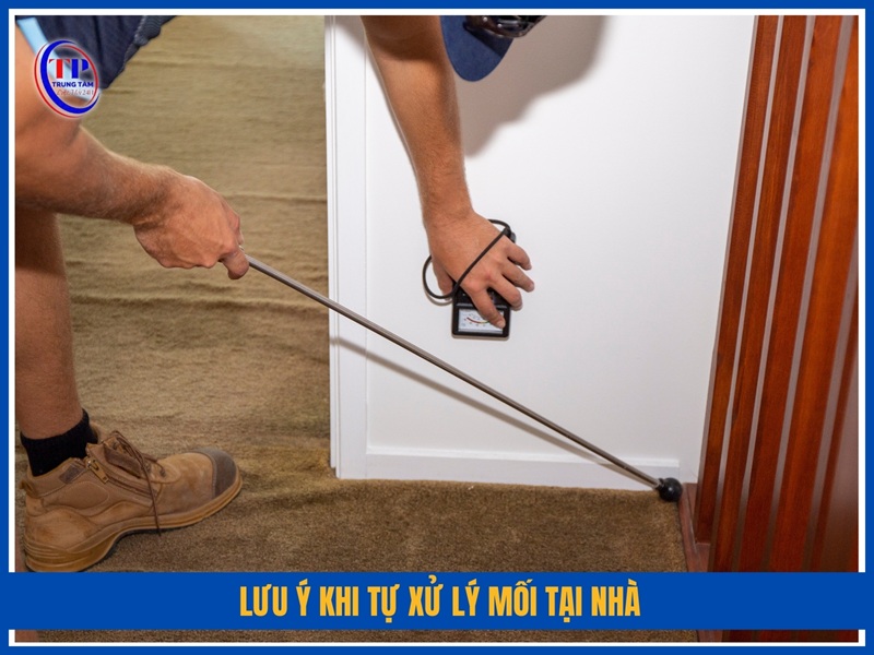 Lưu ý khi tự xử lý mối tại nhà