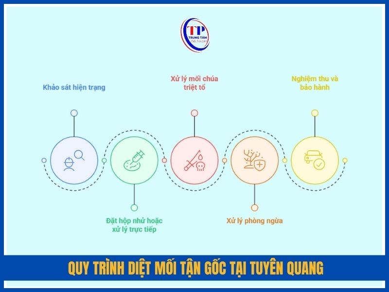 Quy trinh diet moi tan goc tai Tuyen Quang