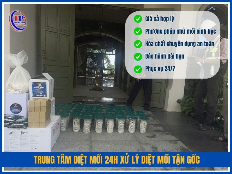 Trung Tâm Diệt Mối 24H xử lý diệt mối tận gốc