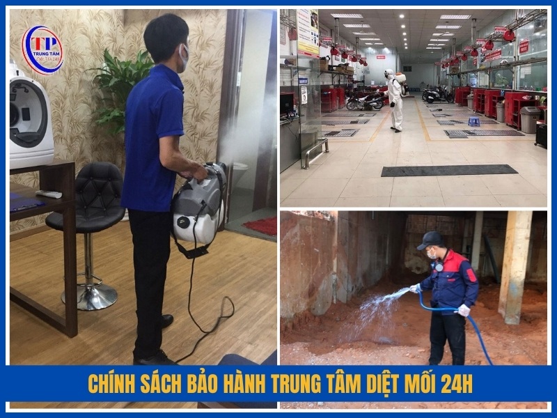 Cam kết dịch vụ và chính sách bảo hành