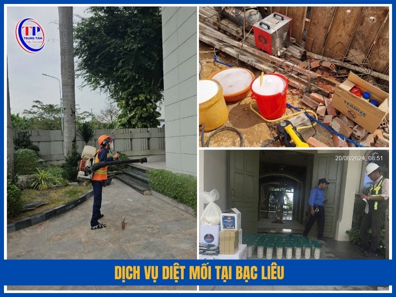 Dịch vụ diệt mối tại Bạc Liêu phù hợp với đối tượng nào?