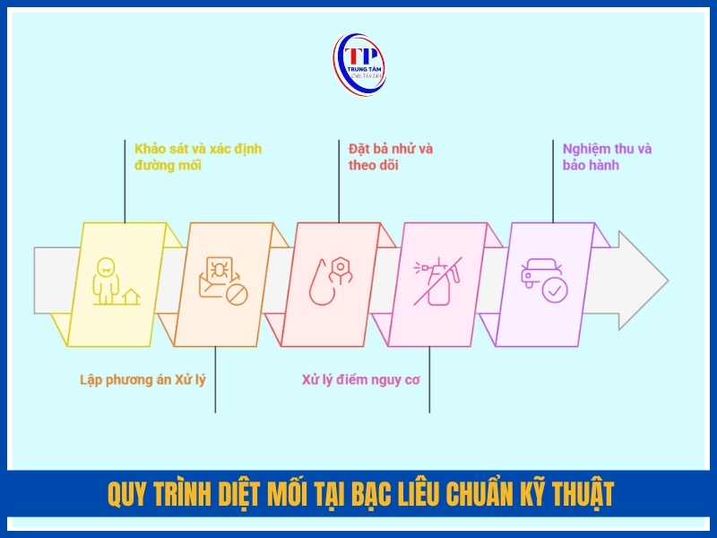 Quy trình diệt mối tại Bạc Liêu chuẩn kỹ thuật