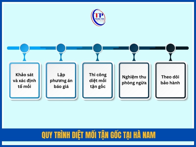 Quy trình diệt mối tận gốc tại Hà Nam