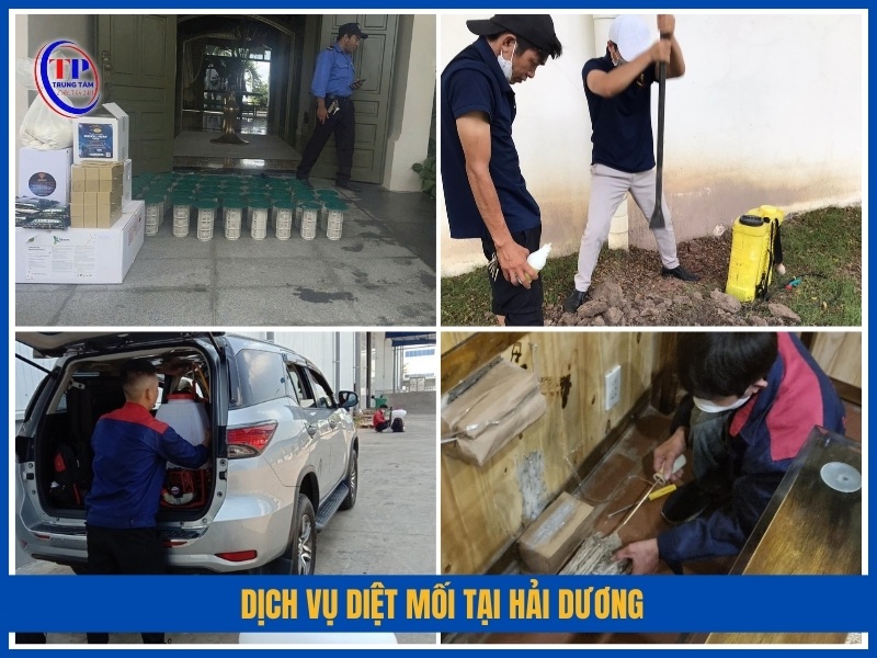 Dich vu diet moi tai Hai Duong