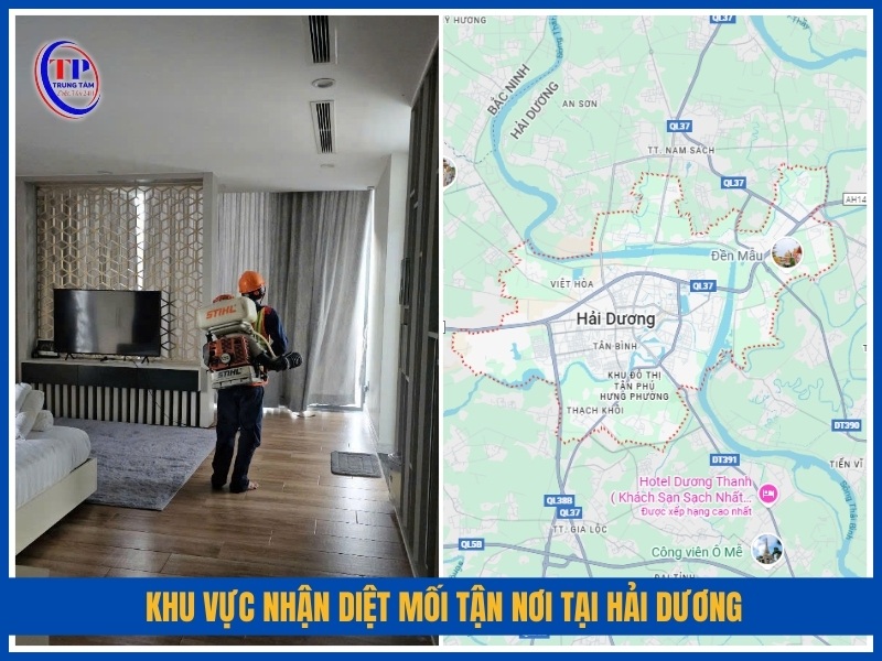Khu vực nhận diệt mối tận nơi tại Hải Dương