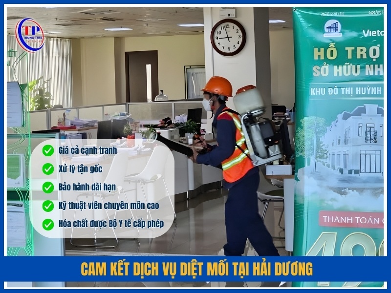 Cam kết dịch vụ diệt mối tại Hải Dương của Trung Tâm Diệt Mối 24H