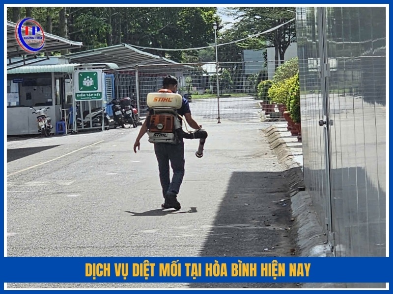 Dịch vụ diệt mối tại Hòa Bình hiện nay