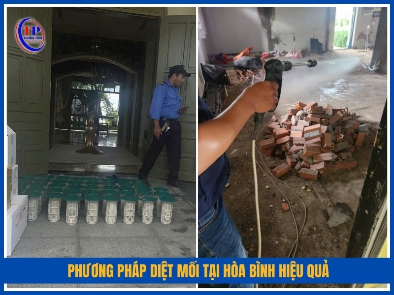 Phương pháp diệt mối tại Hòa Bình hiệu quả
