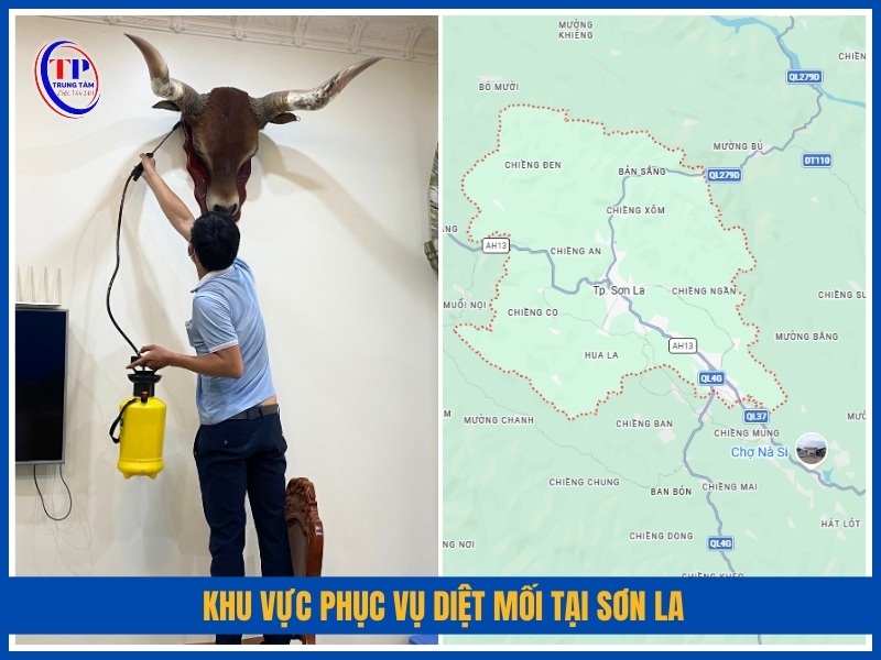 Khu vực phục vụ diệt mối tại Sơn La