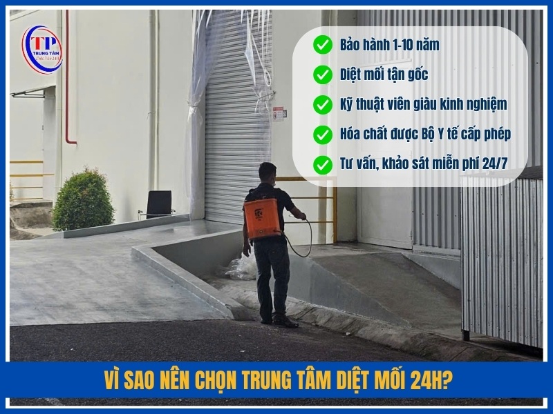Vì sao nên chọn Trung Tâm Diệt Mối 24H?