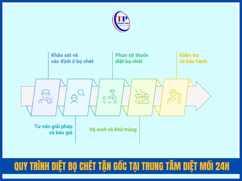 Quy trình diệt bọ chét tận gốc tại Trung Tâm Diệt Mối 24H
