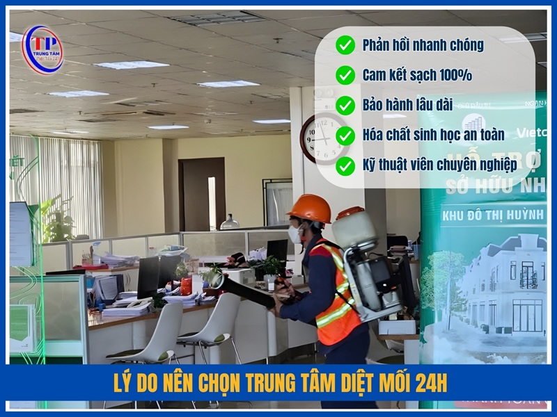 Lý do nên chọn Trung Tâm Diệt Mối 24H