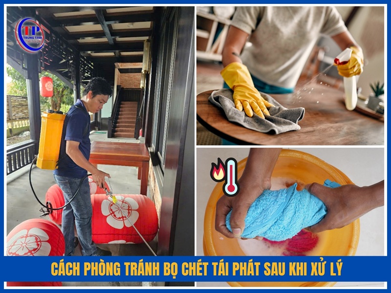 Cách phòng tránh bọ chét tái phát sau khi xử lý