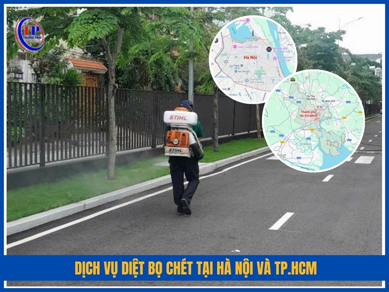 Dịch vụ diệt bọ chét tại Hà Nội và TP.HCM