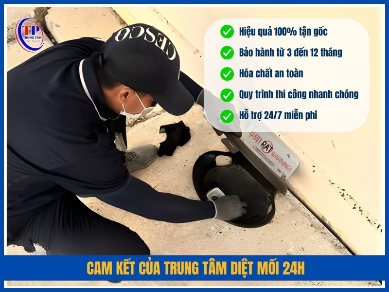 Cam kết của Trung Tâm Diệt Mối 24H
