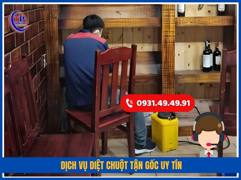 Dịch vụ diệt chuột tận gốc uy tín