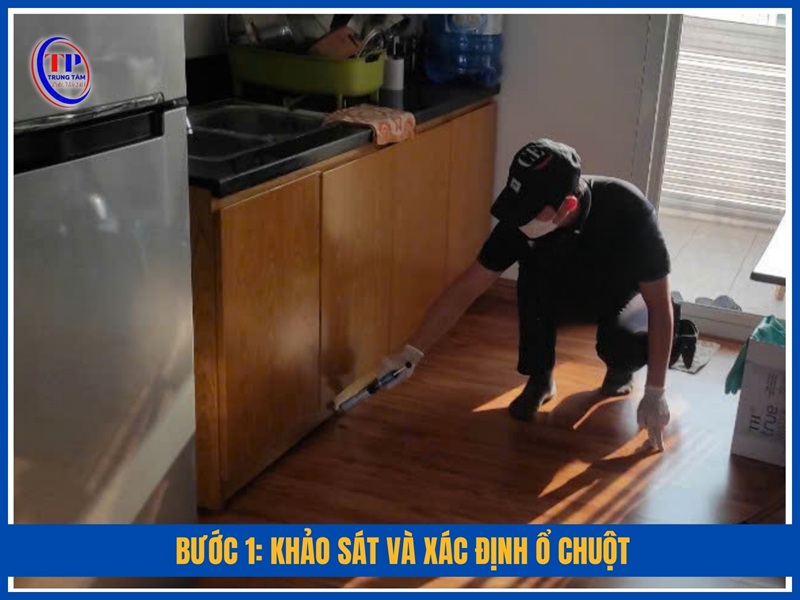 Bước 1: Khảo sát và xác định ổ chuột