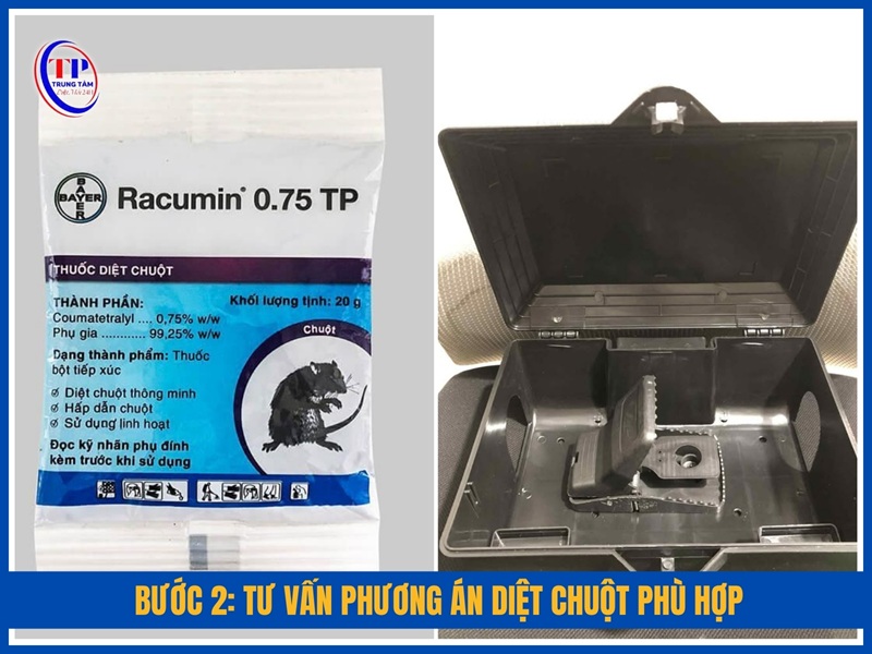Bước 2: Tư vấn phương án diệt chuột phù hợp