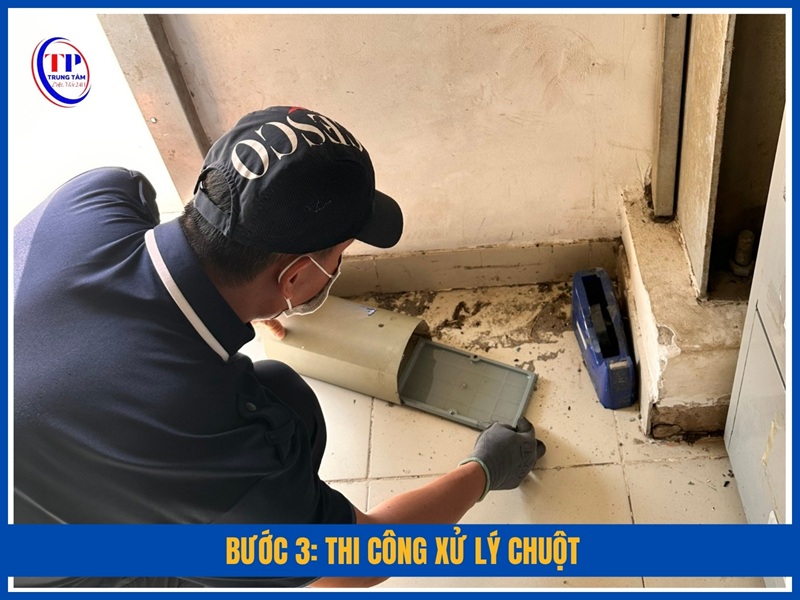 Bước 3: Thi công xử lý chuột