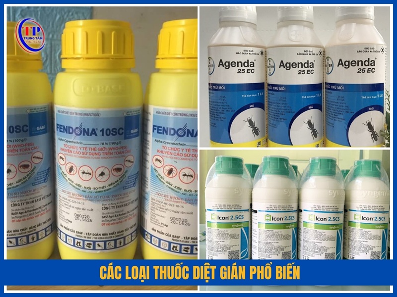 Các loại thuốc diệt gián phổ biến
